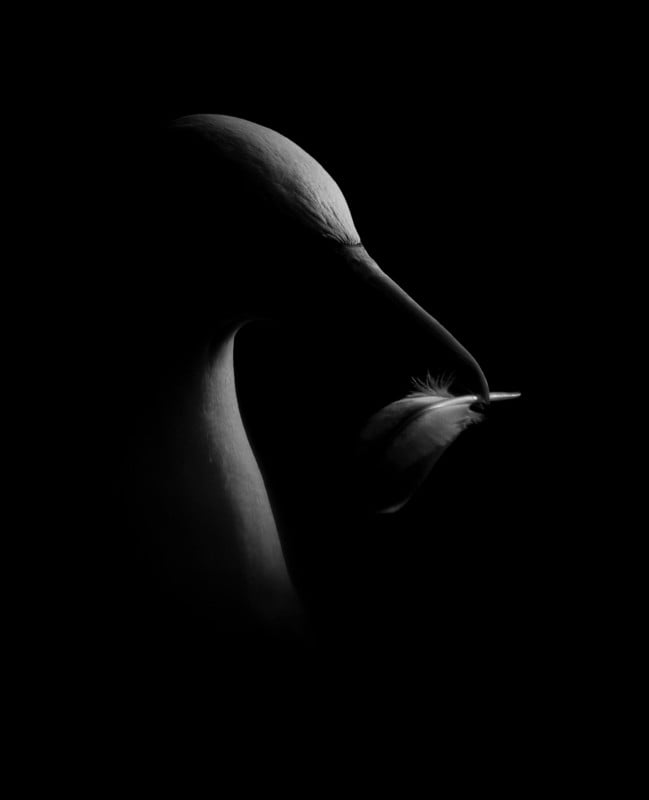 web-BLACKANDWHITE-Silver-JamesRogerson-649x800.jpg