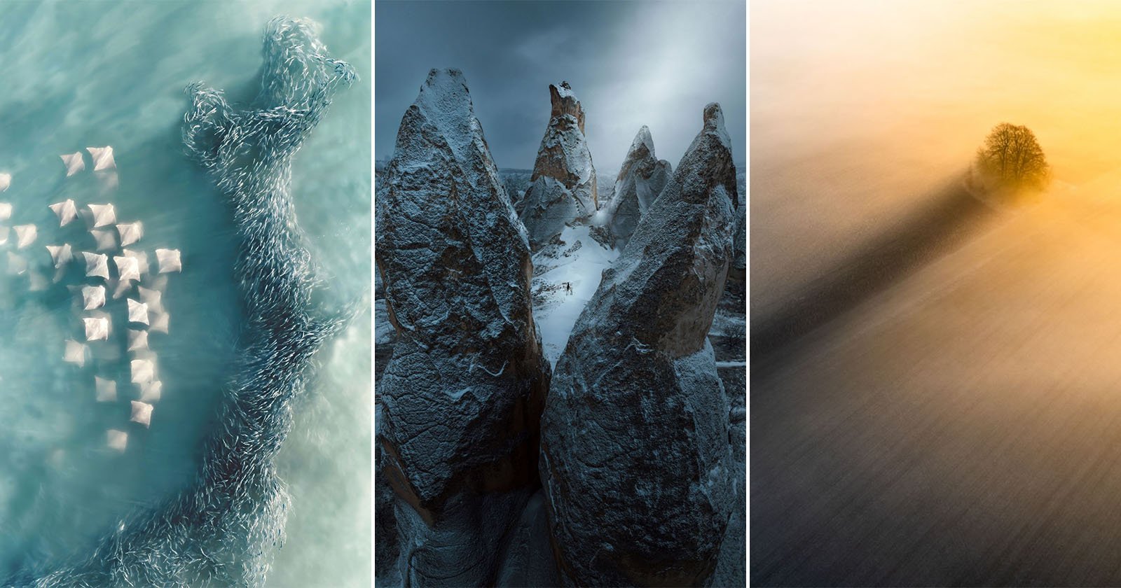 A triptych of aerial photos: white boats near a fish-shaped school in blue water, sharp snowy rock formations, and a single tree casting a long shadow in a yellow misty landscape.