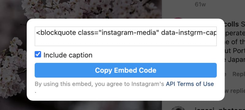 instagram-embed-800x362.jpg