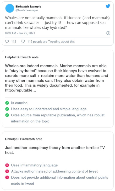 examples-481x800.jpg