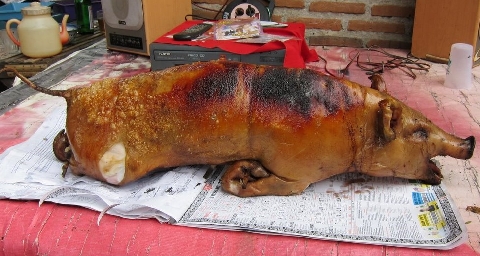 bali-pig-top-480.jpg