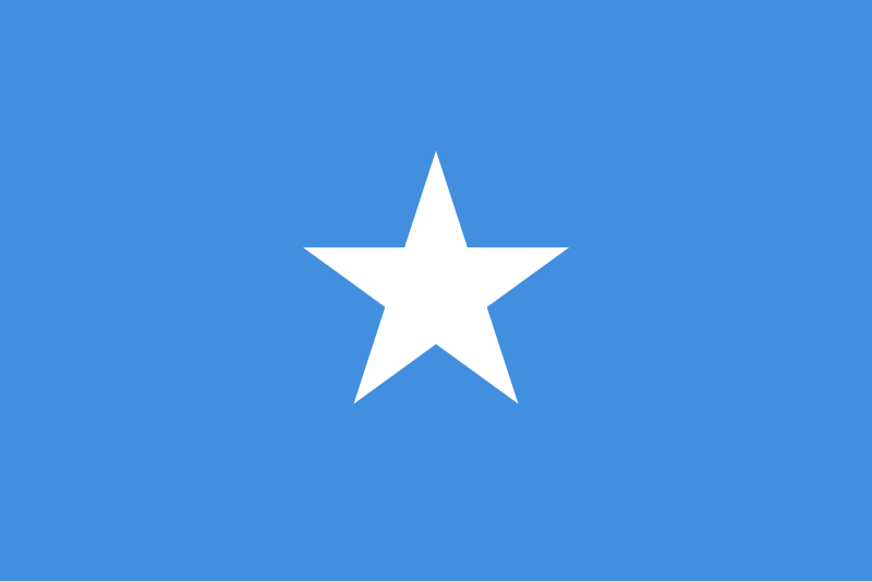 800px-Flag_of_Somalia.svg.png