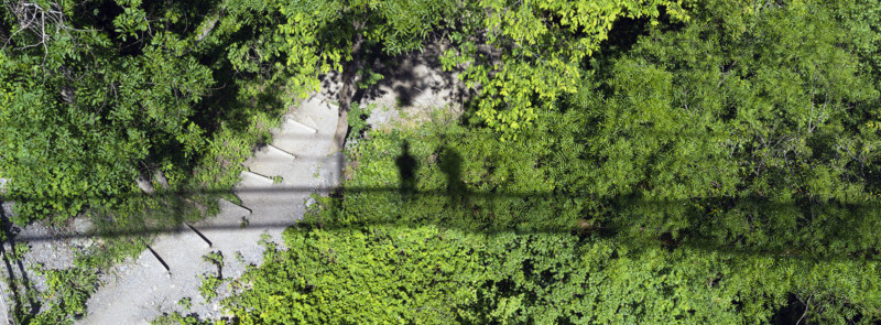 monthey_2-800x295.jpg