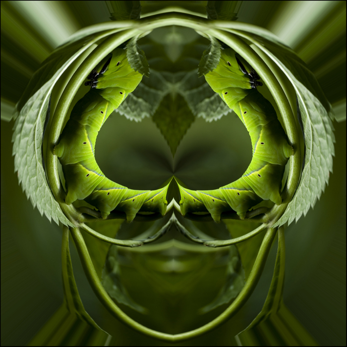 Orb_II_by_log1t3ch.jpg