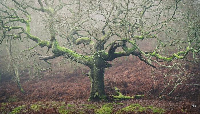 Helpful Composition Advice for Landscape Photography