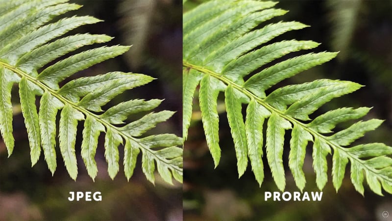 proraw-vs-jpeg-image-comparison-4-800x450.jpg