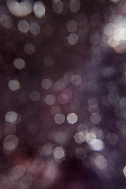5085611189_37a05065c1_z.jpg