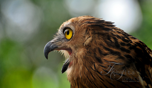 p95742316-3.jpg