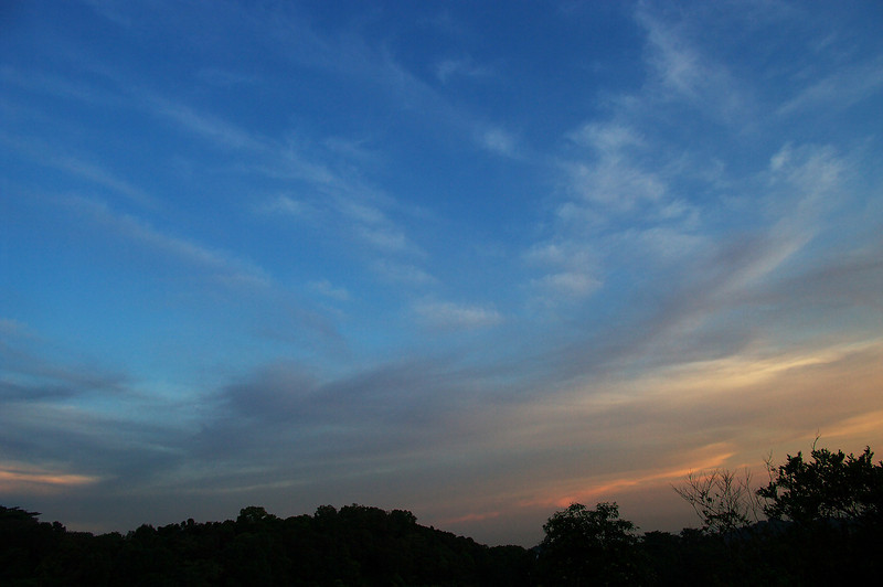 525734150_cuLa6-L.jpg