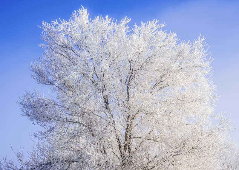 Winter_Photography_03-800x571.jpg