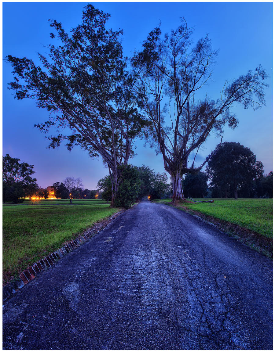 magical_path_by_draken413o-d5frgjb.jpg