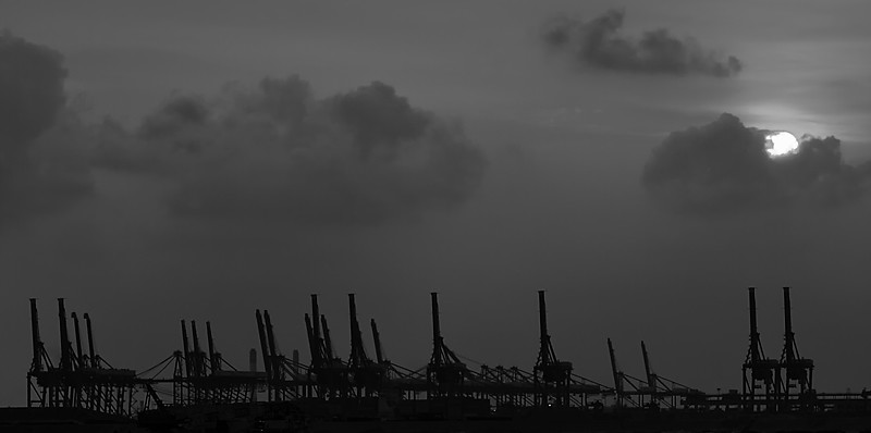 5726331856_fe60506e48_b_d.jpg