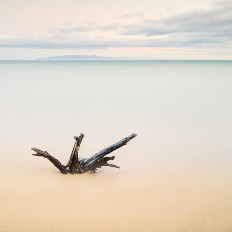 LAST-WORDS.MEDIUM-FORMAT-800x800.jpg
