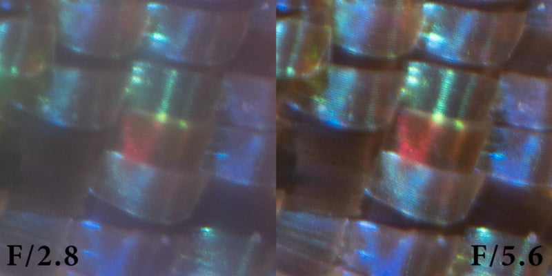 mitakon-85mm-test-800x400.jpg