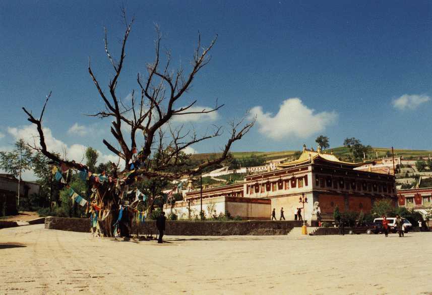 Kumbummonastery.jpg