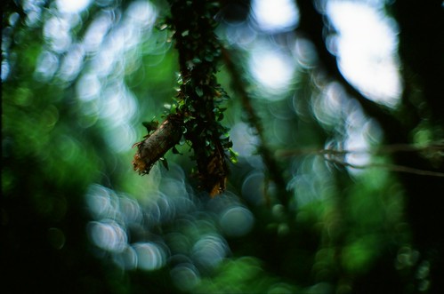 3289680206_374d76e97e.jpg