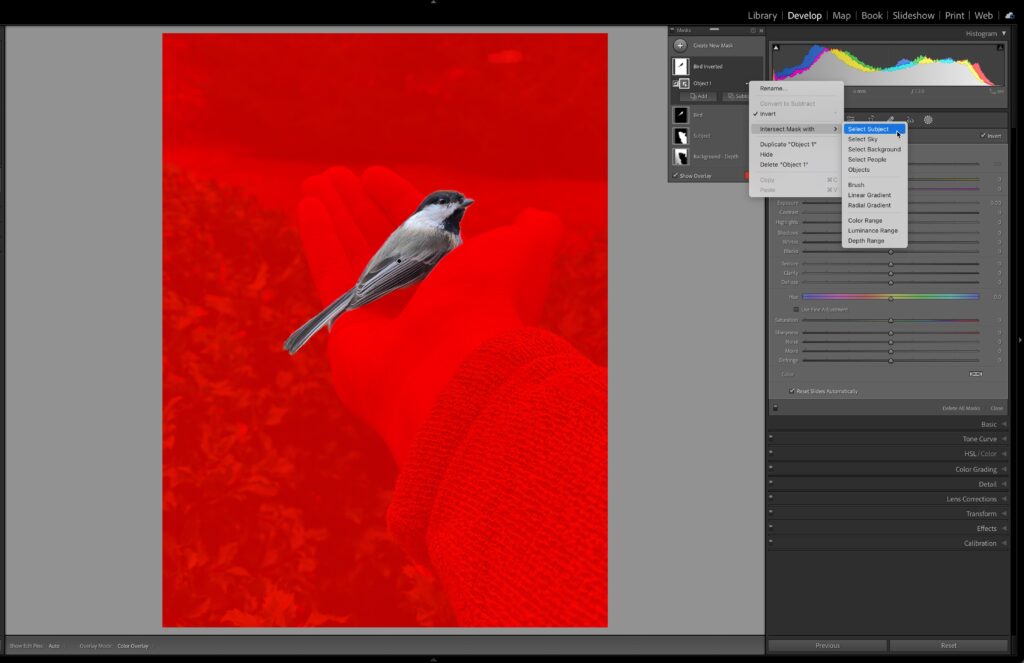 objectselect-08-1024x663.jpg