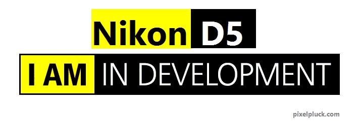 Nikon-D5-Demo.jpg