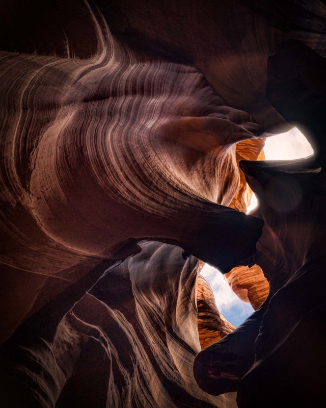 antelope8-640x800.jpg