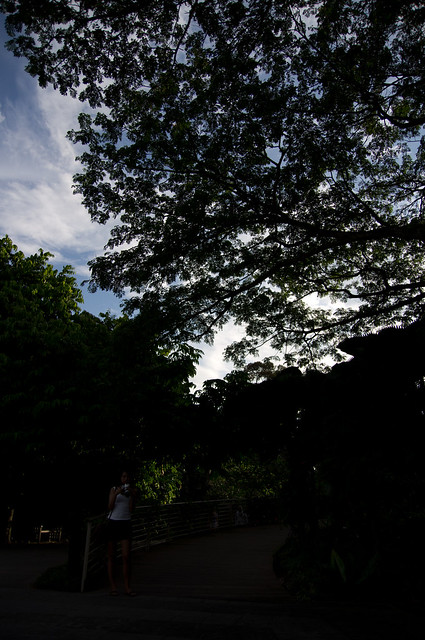 5950027691_21f8e4c3f4_z.jpg