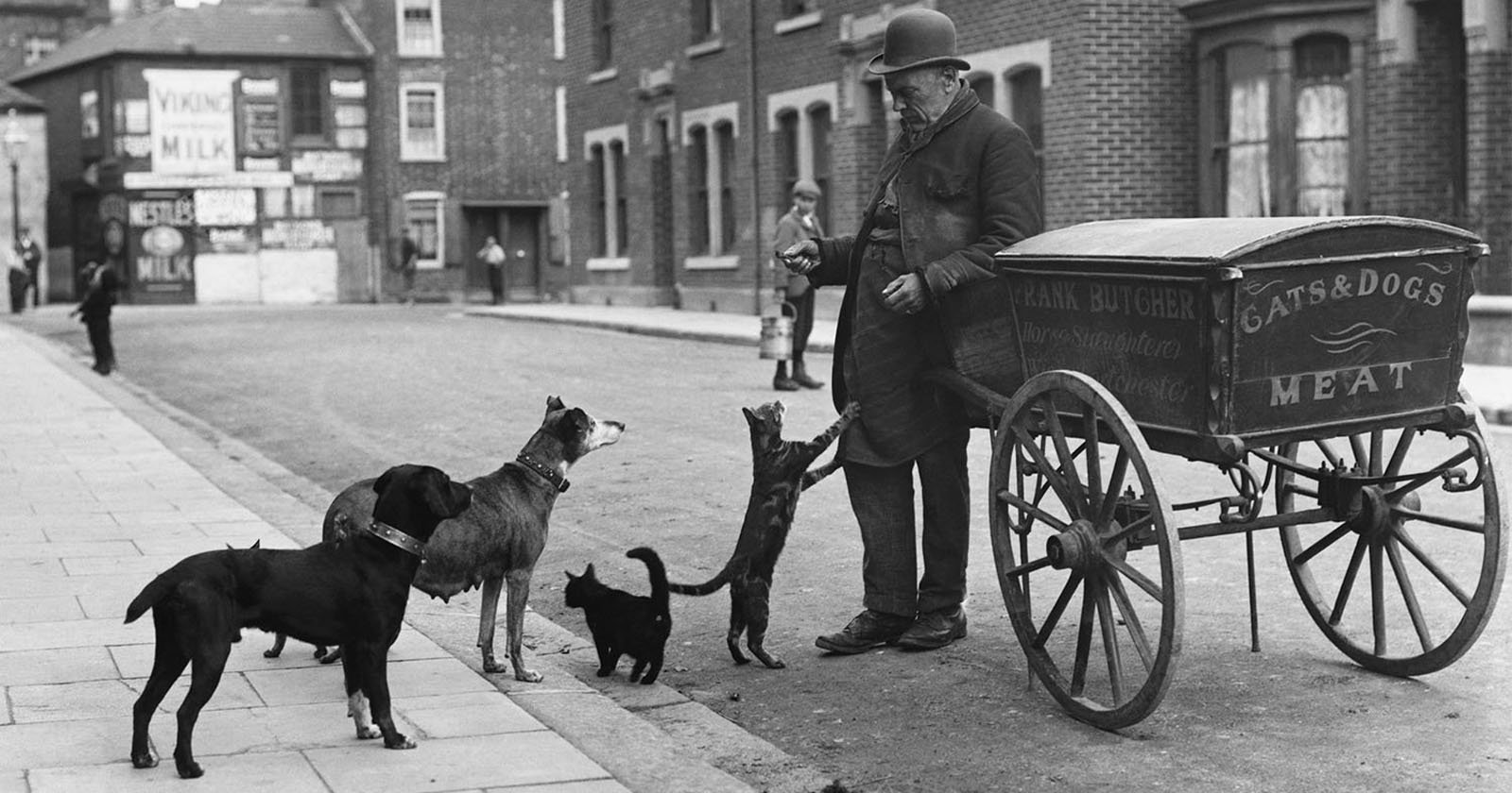 A vintage photograph shows a man wearing a bowler hat and long coat standing by a cart labeled Cats & Dogs Meat. Four cats and dogs gather around him on a cobblestone street lined with brick buildings.