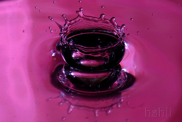 5455031794_53a2aaeb93_z.jpg
