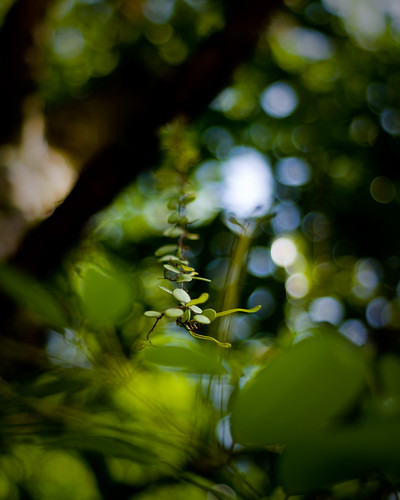 4290506642_3a054a3fce.jpg
