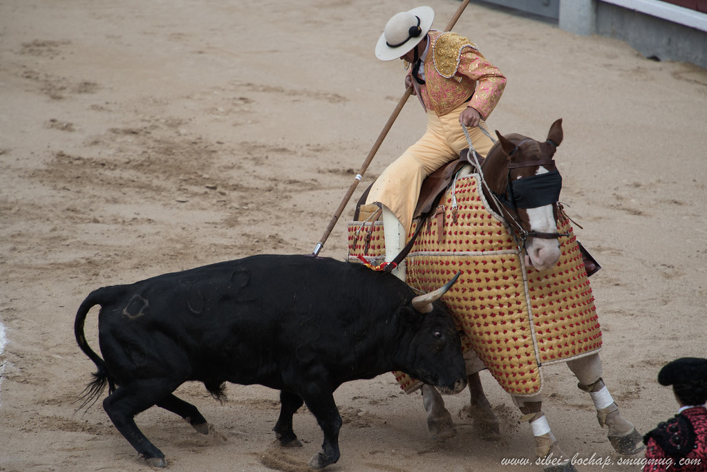 DSC7676-XL.jpg