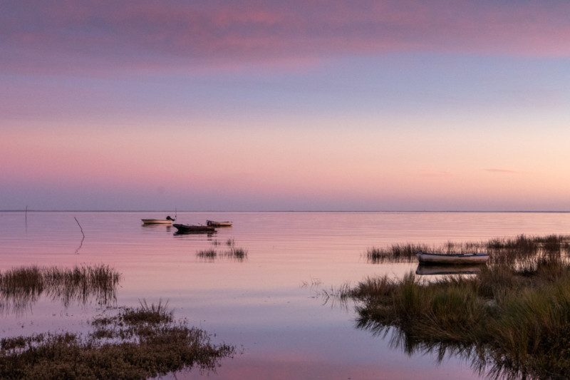 Lake-Jean-Charles-Rivas-800x533.jpg