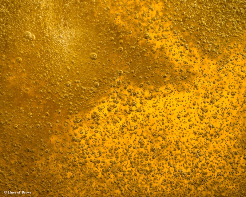 Closeup photo of beer, light