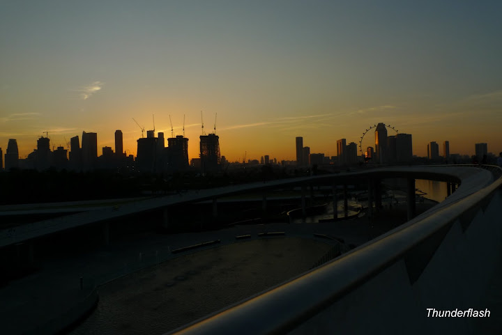 P1000848.JPG