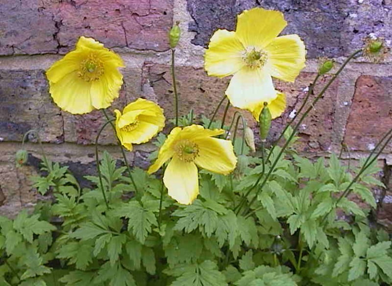 canon-powershot-600-sample-image-18-800x585.jpg
