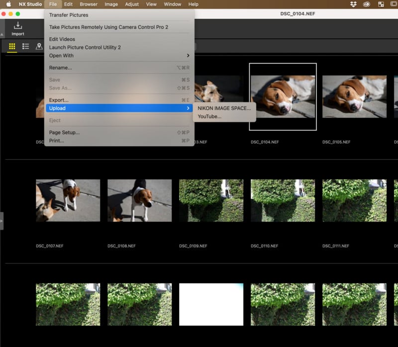 NX-Studio-YouTube-Export-800x698.jpg