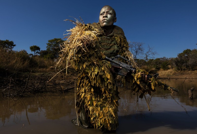 WPPF-2019PhotoContest-BrentStirton-800x546.jpg
