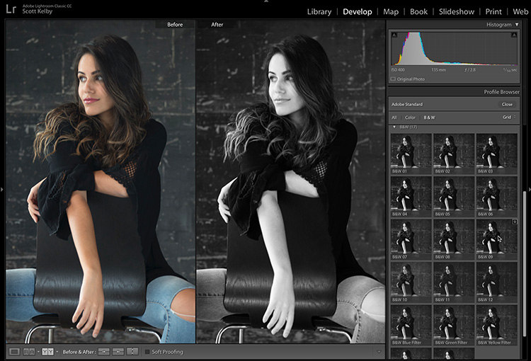 Profiles6.jpg