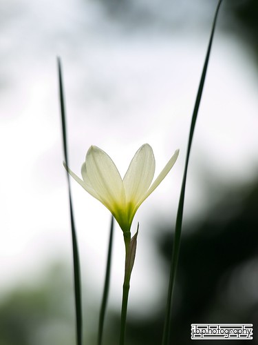 2983974794_a6d7de17f3.jpg