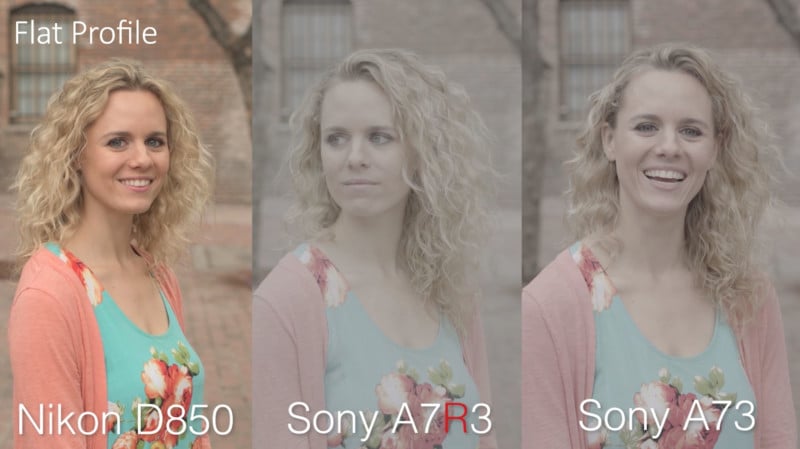 flatprofile-800x449.jpg