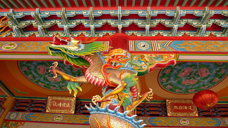 P1000631.JPG