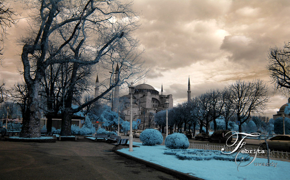 p724895711-3.jpg