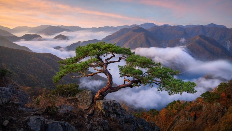 1_TDCdHK_VbkCRzXVY5GS92w-800x451.jpg