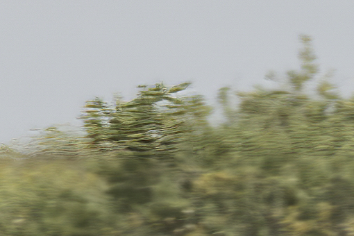defocusedarea-focus_0001__E071282-focus.jpg