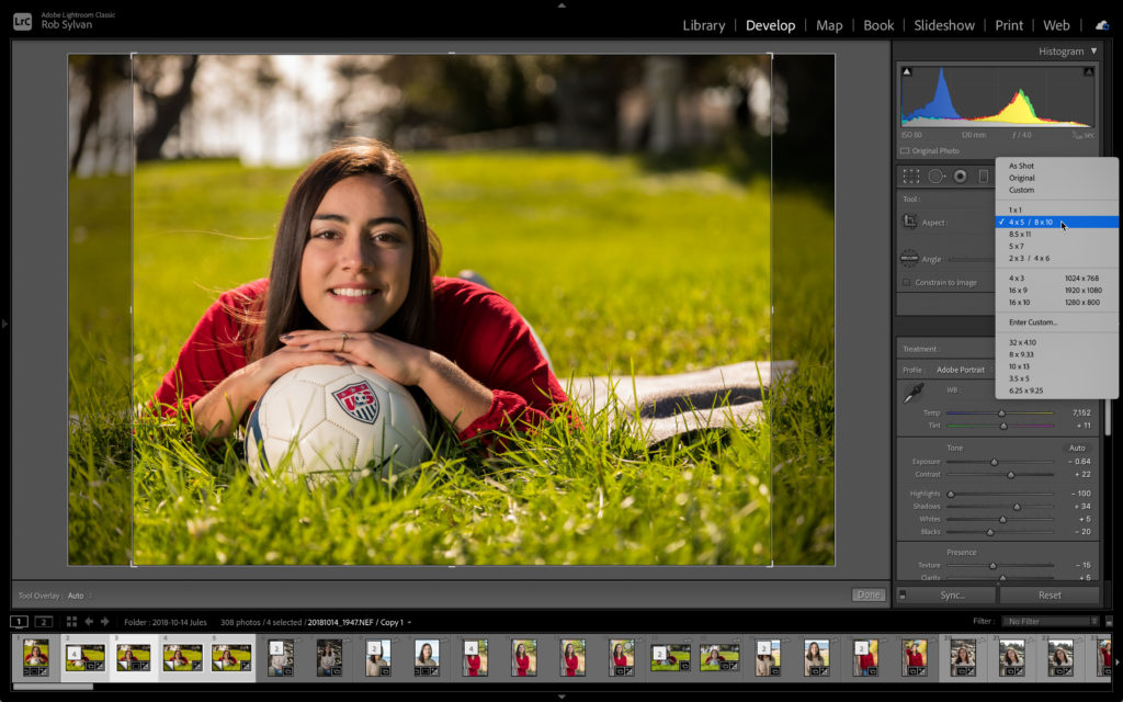 croppresets-04-1024x640.jpg