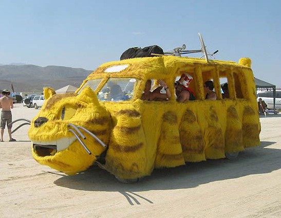 cat-car-funny.jpg