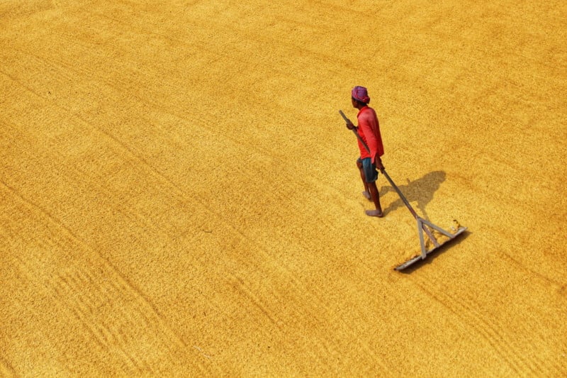 rural-india-travel-roy-petapixel-11-800x533.jpeg