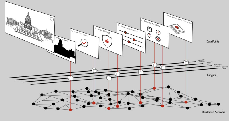 cai-project-starling-graphic-800x426.jpg