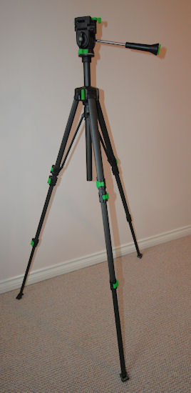 LegsDown2.jpg