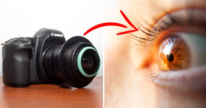 macro_feature-800x420.jpg
