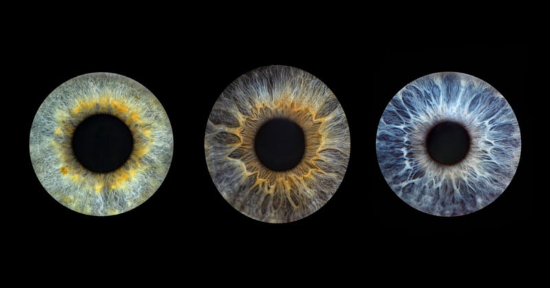 Gia Gioe's macro eye photographs