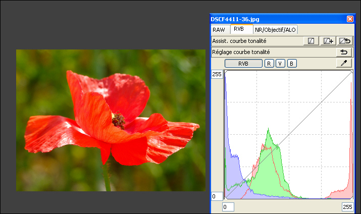 histogram-in-dpp-10007b3.jpg