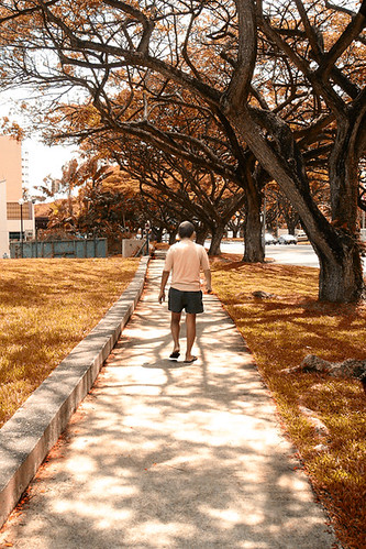 103087508_9795ab14da.jpg
